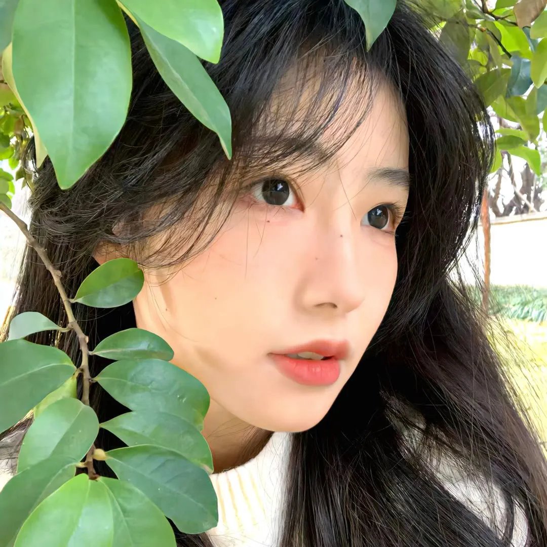 权欲第一季